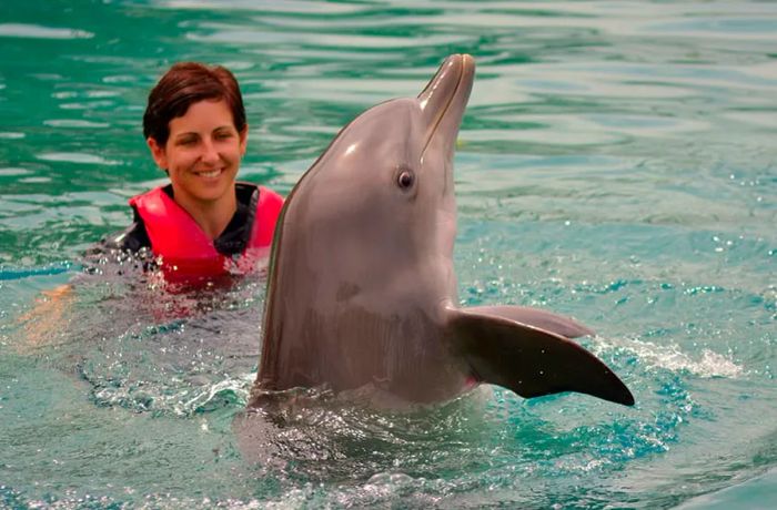 Visitor swimming with dolphins