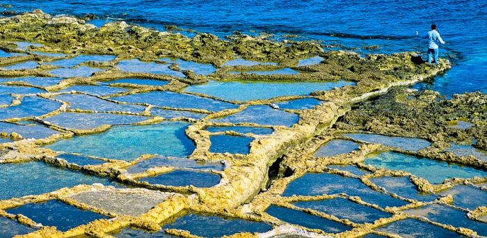 Salted marshes sculpted into the rock. Gozo island. Malta.