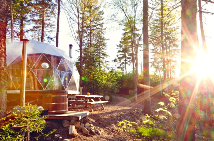 Exterior view of a Sky View Dome at Ridgeback Lodge surrounded by trees