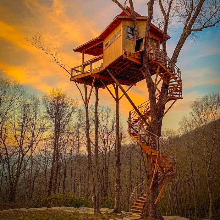 Long spiral staircase wrapping around a tree leading to the Raven Rock treehouse