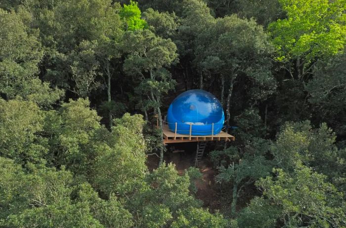 A blue bubble tent perched on a raised platform in a forest in France