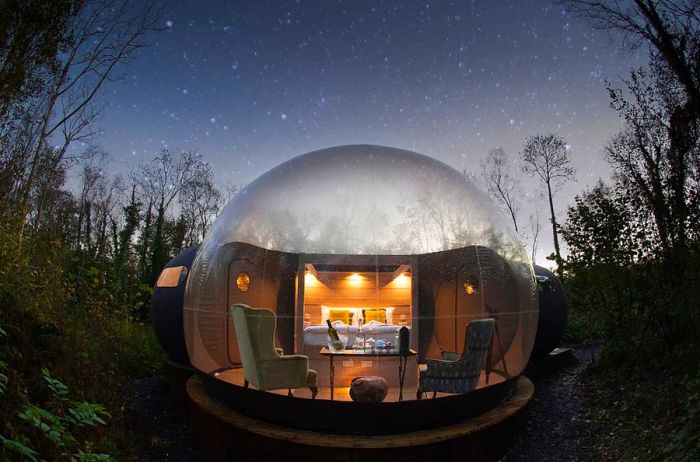 A bubble dome at Finn Lough illuminated at night among the trees