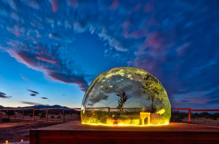 Glowing bubble tent on a platform in the Joshua Tree desert at dusk