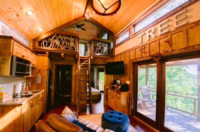 Interior view of a tree house showcasing a kitchen on the left, a ladder leading to the loft, and large windows facing the porch on the right.