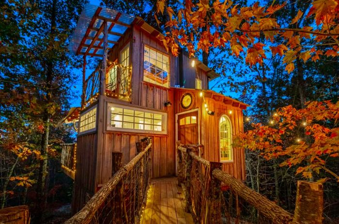 A multi-level tree house illuminated at night, with glowing windows, surrounded by trees and strings of lights; a bridge leads to the entrance.