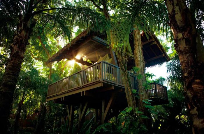 tree house spa room nestled in the jungle of Puerto Rico