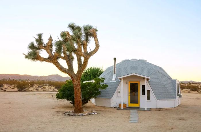 Dome house next to a large Joshua tree