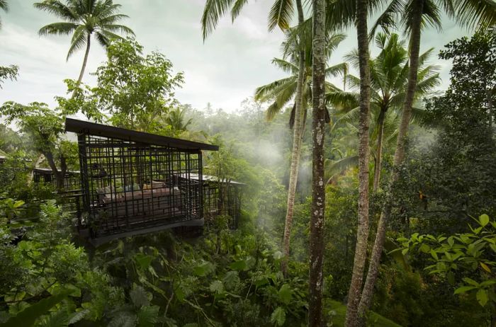 Teahouse tree house located at Hoshinoya Bali in the jungle