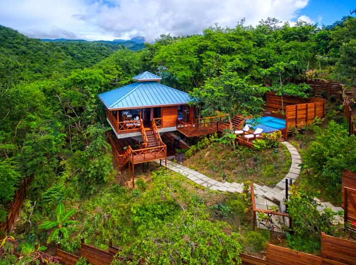 Tree house nestled in the jungle of Dominica