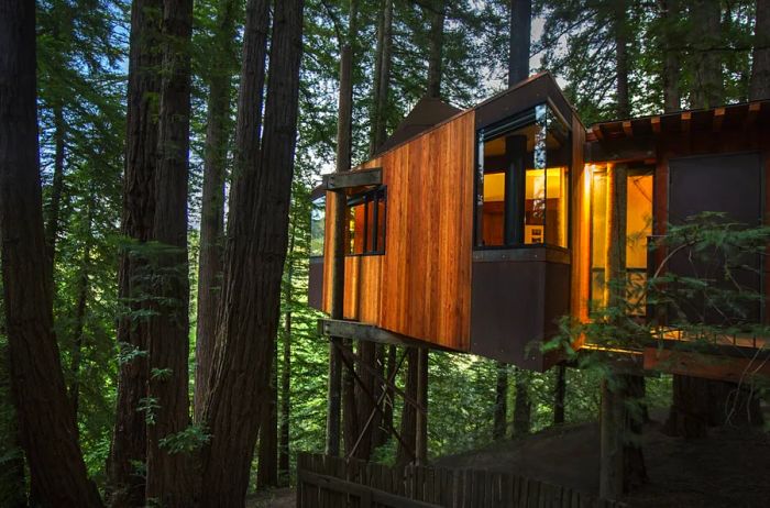 Tree house suite nestled among pine trees at Post Ranch Inn in Big Sur