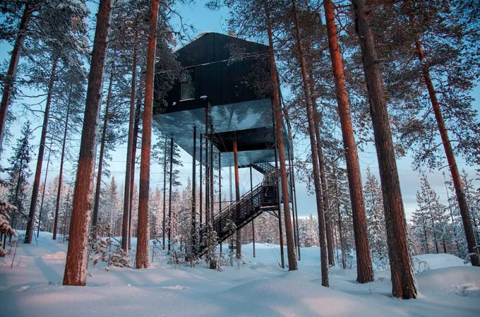 Contemporary tree house hotel room nestled in a snowy forest at Treehotel in Sweden