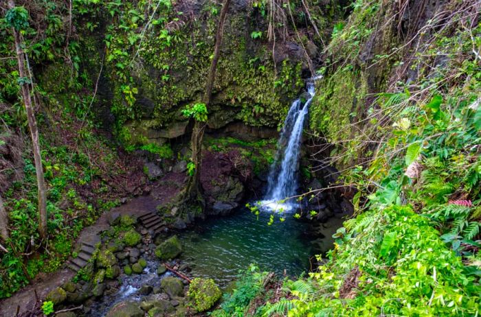 Emerald Pool, Morne Trois Pitons National Park, Dominica