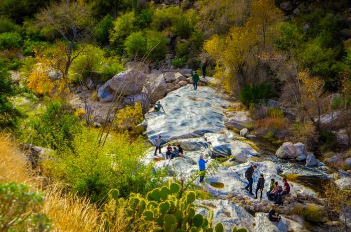 Exploring Sabino Canyon by Foot