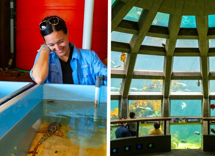 Erin Mayer, left, alongside an exhibit at the Seattle Aquarium, right.