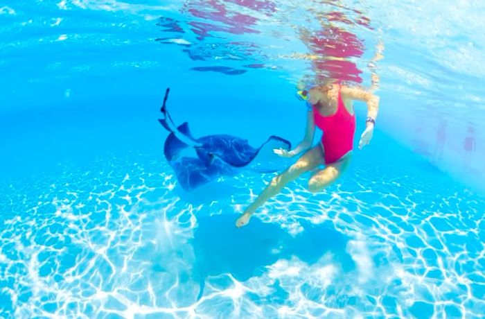 Snorkel Adventure