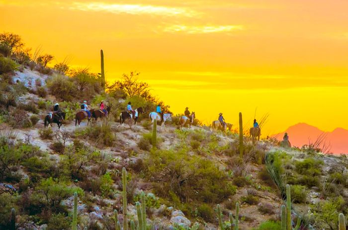 Horseback ride at Tanque Verde Ranch