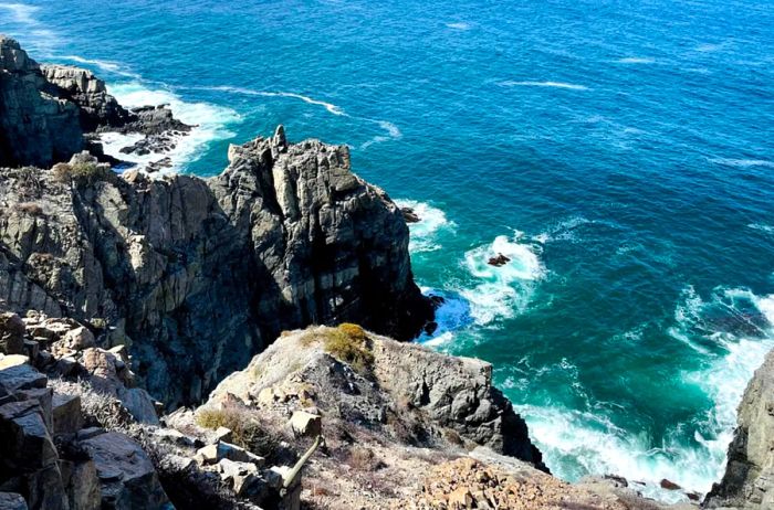 The view from our guided two-hour hike along the Pacific Coast.