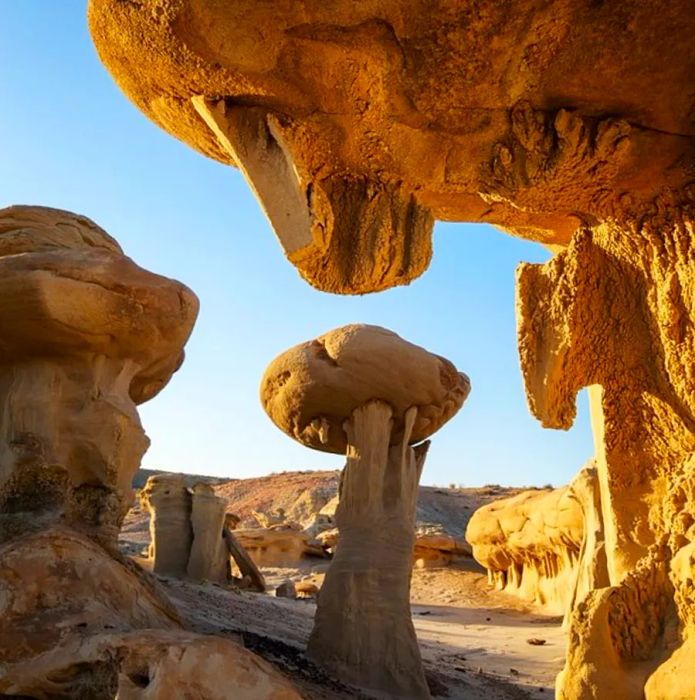 Witness the unique stone mushrooms of the Ah-Shi-Sle-Pah Wilderness during daylight hours.