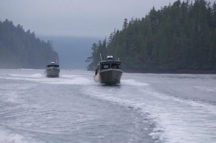 Daily, fishers from the resort venture out, hoping for a successful catch.
