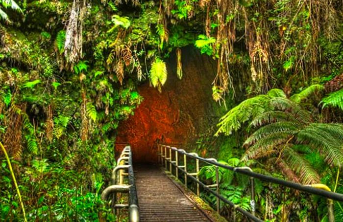 Entrance to Thurston Lava Tube