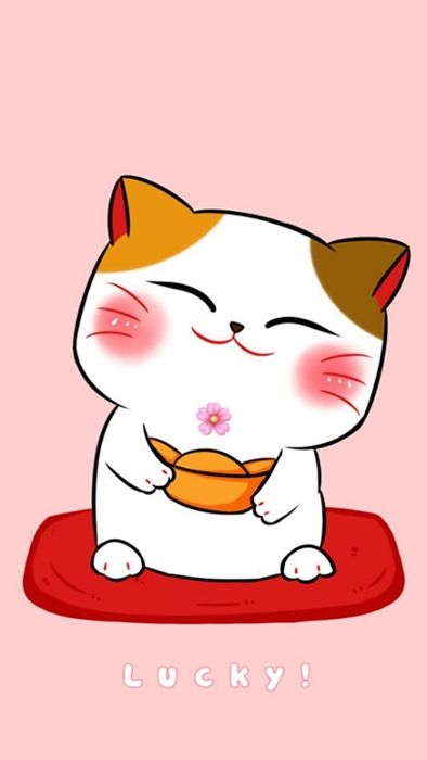 Tải về hình ảnh mèo chất - Hình ảnh mèo thần tài mang lại nhiều may mắn