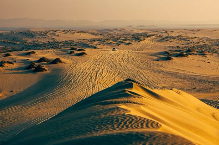 qatar-doha-sDinogoi-tanveer-badal-15.jpg