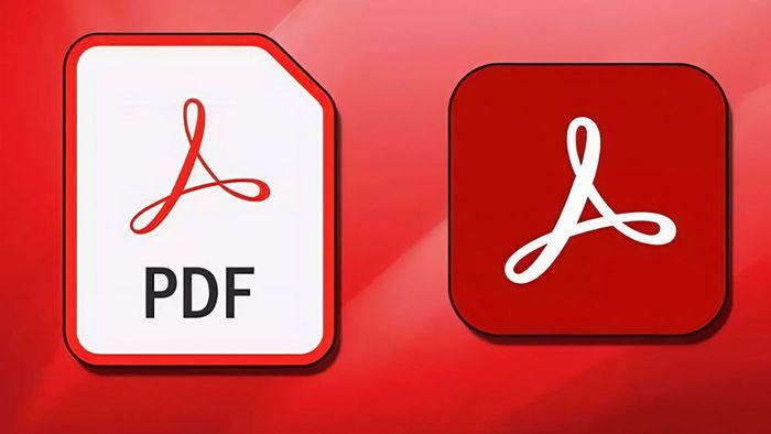 file mềm là gì