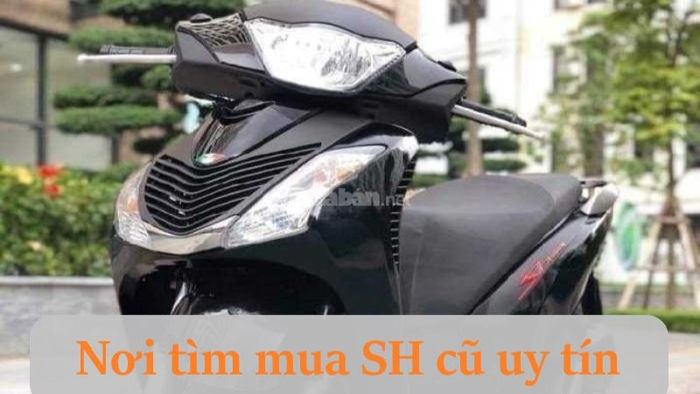 Tìm mua xe SH cũ tại Mytour, một trang web uy tín và chất lượng