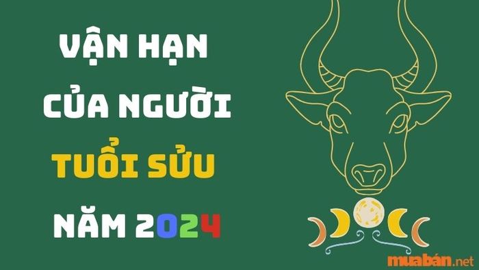 Vận hạn của người tuổi Sửu trong năm 2024