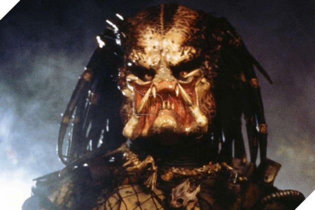 Một dự án phim mới về Predator sẽ được công chiếu vào năm sau.