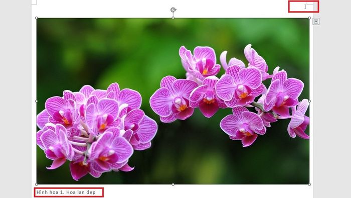 Lưu ý 1 về cách tạo mục lục hình ảnh trong Word