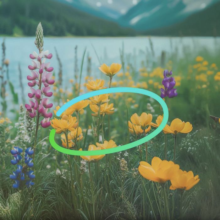 Tính năng khoanh tròn để tìm kiếm trong ColorOS 15