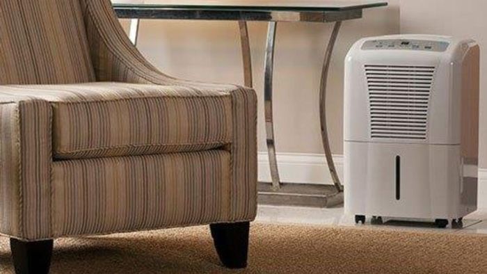Có nên sử dụng máy hút ẩm cho phòng 30m2 không?