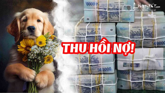 Con giáp thu hồi nợ vào cuối năm 2024
