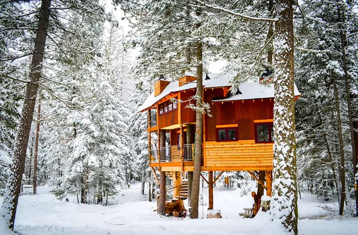 View of a two-story wooden tree house nestled in a snowy forest