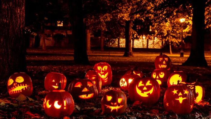 STT Halloween chất lượng