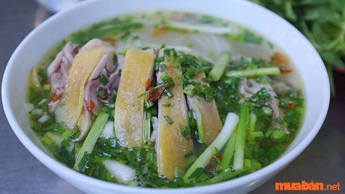 Miến măng gà