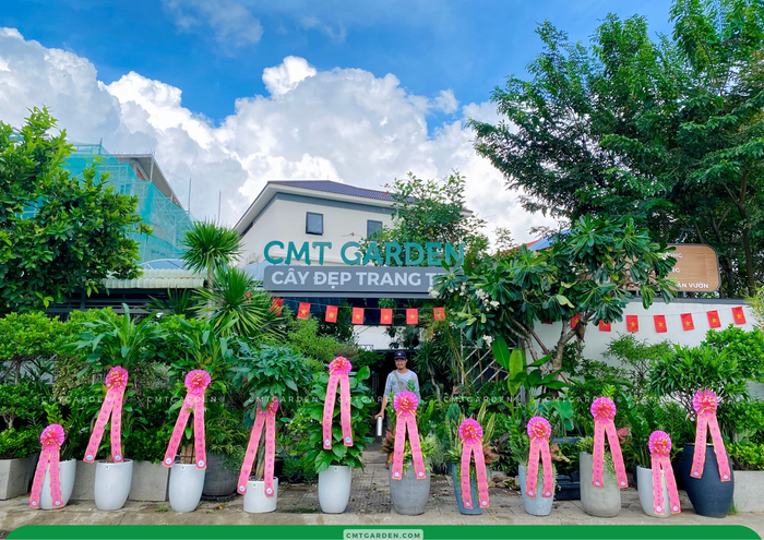 ban cay canh da nang 2.png