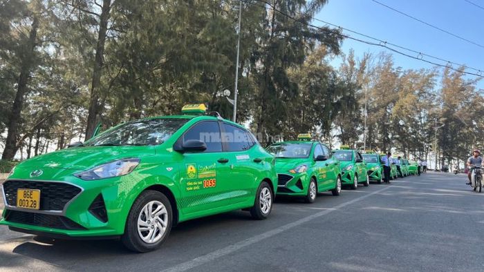 Taxi Mai Linh tại Đà Nẵng