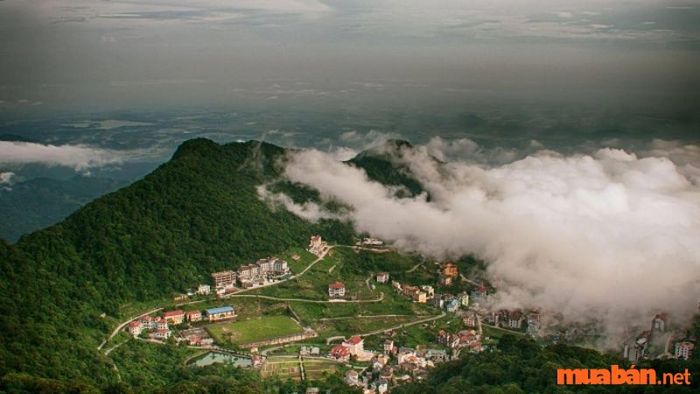Đỉnh Rùng Rình là một địa điểm check in tuyệt vời tại Tam Đảo
