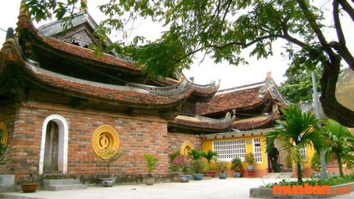 Gia Lâm có những hoạt động gì thú vị?