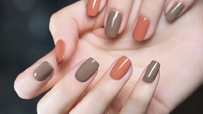 Sự phối hợp tinh tế và hài hòa giữa các gam màu sẽ tạo nên một thiết kế độc đáo