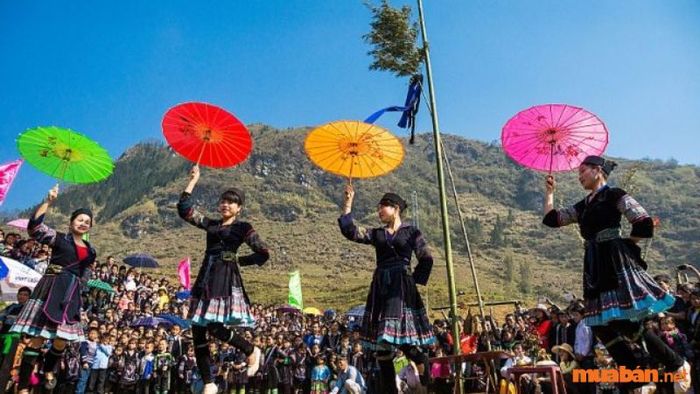 Sapa thu hút du khách bằng khung cảnh thiên nhiên tuyệt đẹp, nổi bật với các đường nét điêu khắc trên bãi đá cổ Sapa.