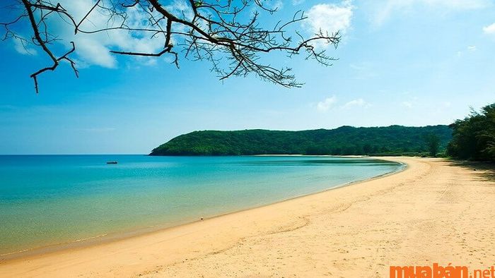 Tắm biển và dạo bộ