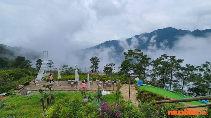 Tổ hợp Lala Land mang đậm phong cách Vintage