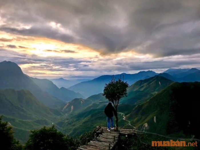 Tầm nhìn toàn cảnh thiên nhiên hùng vĩ của rừng núi Tây Bắc