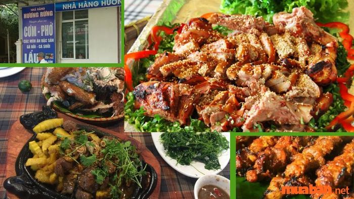 Nhà hàng Hương Rừng cung cấp nhiều món ăn đặc trưng