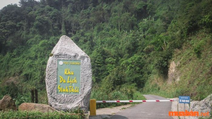 Vườn quốc gia Tam Đảo thật sự là một trải nghiệm tuyệt vời
