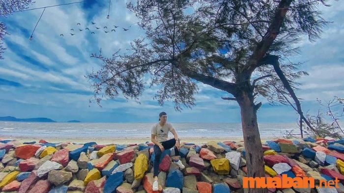 Bãi biển Cần Giờ gây ấn tượng với bãi cát đen huyền bí (Nguồn ảnh: Sưu tầm)