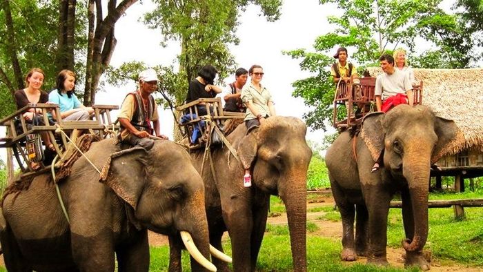 Du khách tham gia hoạt động cưỡi voi tại thác Prenn